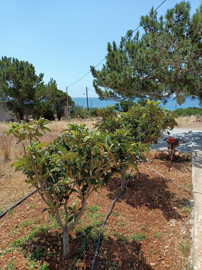 Sea View Pine House Villa Makrýgialos Exterior foto